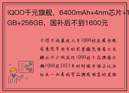 iQOO千元旗舰，6400mAh+4nm芯片+12GB+256GB，国补后不到1600元