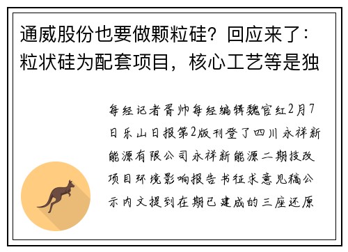 通威股份也要做颗粒硅？回应来了：粒状硅为配套项目，核心工艺等是独立技术路径