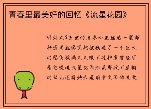 青春里最美好的回忆《流星花园》