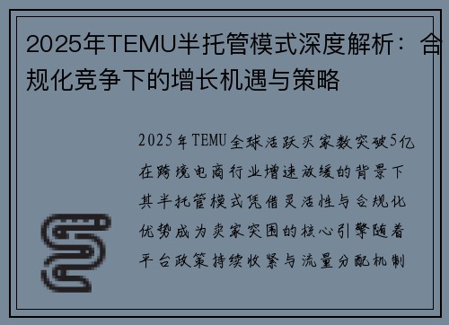 2025年TEMU半托管模式深度解析：合规化竞争下的增长机遇与策略