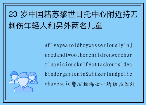 23 岁中国籍苏黎世日托中心附近持刀刺伤年轻人和另外两名儿童