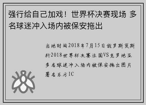 强行给自己加戏！世界杯决赛现场 多名球迷冲入场内被保安拖出