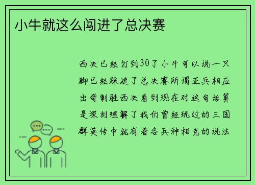小牛就这么闯进了总决赛