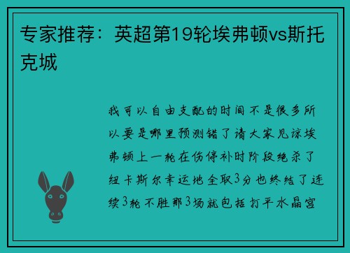 专家推荐：英超第19轮埃弗顿vs斯托克城