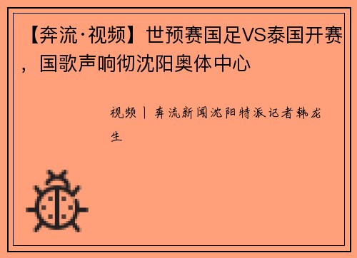 【奔流·视频】世预赛国足VS泰国开赛，国歌声响彻沈阳奥体中心
