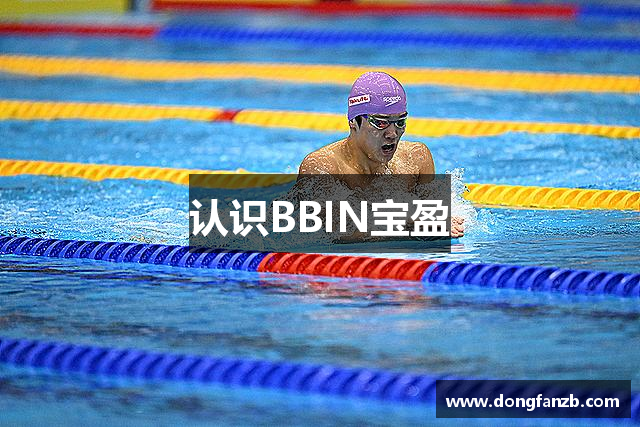 认识BBIN宝盈